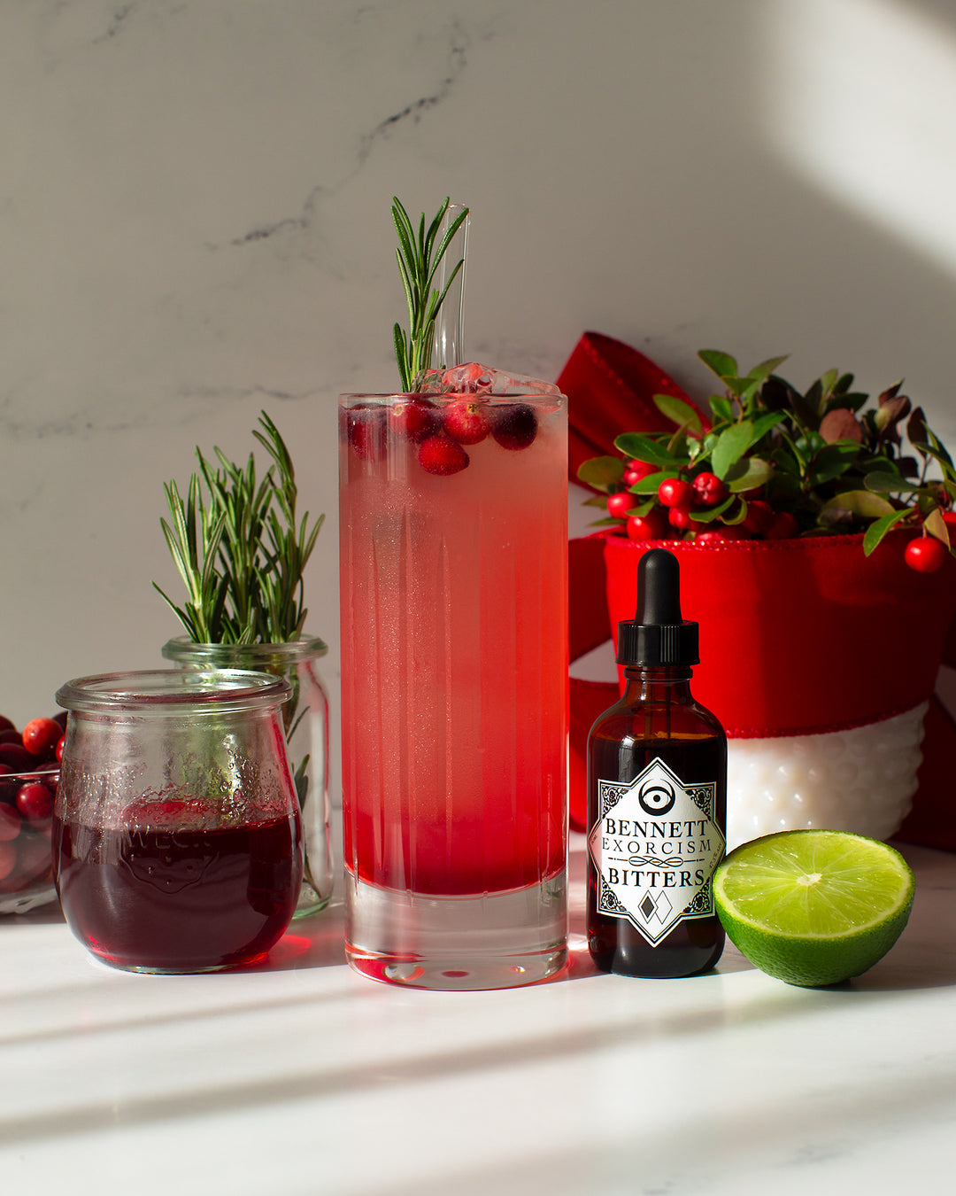 Cranberry Moscow mule in collins glass surrounded by Bennett Exorcism Bitters, lime, and cranberry syrup with rosemary and a wintergreen plant in the background.