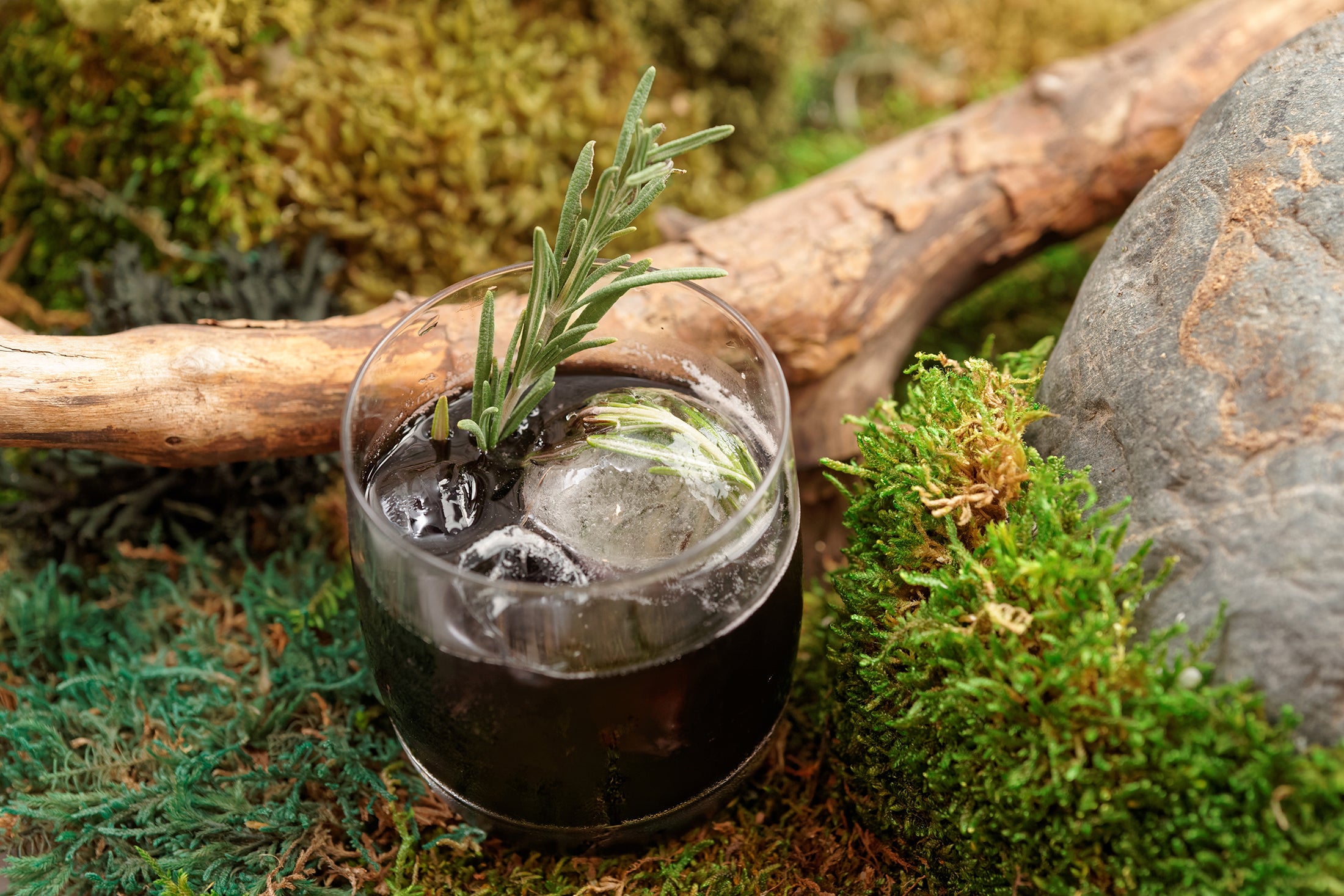 Dark colored cocktail in a rocks glass with rosemary garnish, sitting on the mossy forest floor next to a rock and a log.